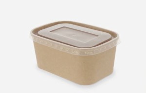 karton-1000ml-kraft-bozikova-verpakkingen-maltijdbak